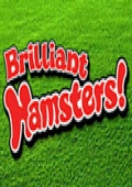 Brilliant Hamsters! cover